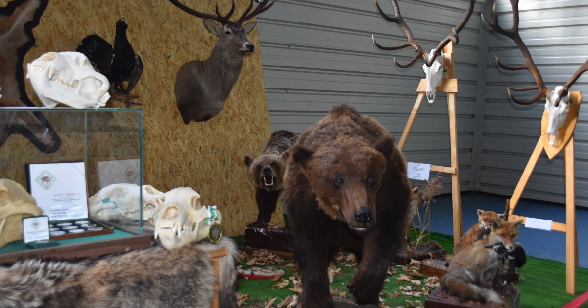 Hasznos és nagy érdeklődésnek örvendő rendezvény